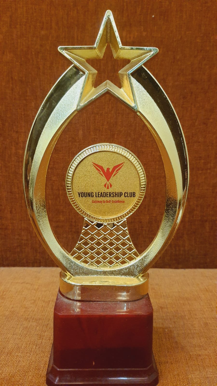 Young Leaders' Club, certificate